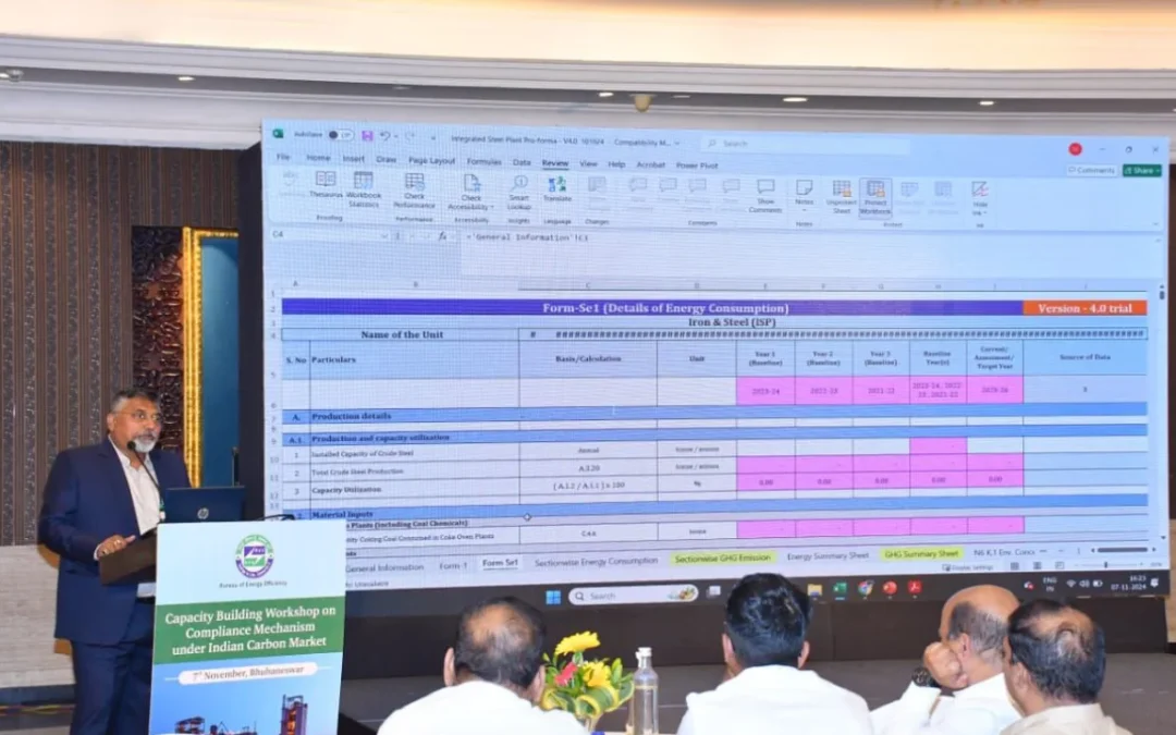 Capacity Building Workshop on Indian Carbon Market